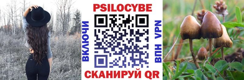 Псилоцибиновые грибы Cubensis  Шиханы 