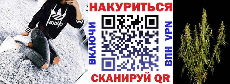 что такое Шиханы Конопля сатива